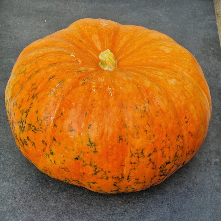 Compote de potiron anti diabète